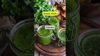 Cilantro | Detox Herb #viralshorts #cilantro #detoxherb #healthyeating