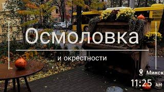 Осмоловка и окрестности