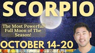 Scorpio - Buckle Up! HUGE Week Of New Opportunity! October 14-20 Tarot Horoscope