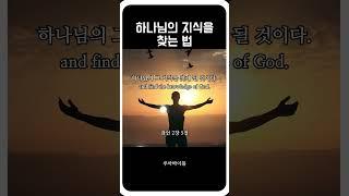 지혜에 귀를 기울이고 명철에 마음을 쏟아라