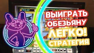 Выиграть в Crazy Monkey на Вулкане? Легко! Стратегия выирыша Димы