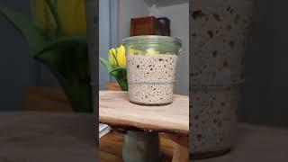 The Best Sourdough Starter