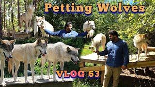 VLOG 63: Petting Wolves at the Howling Woods Farm New Jersey