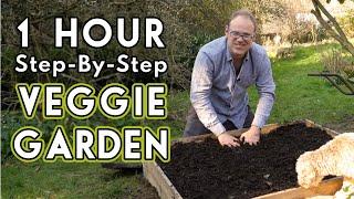 New Vegetable Garden: How To Get Started