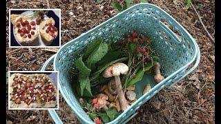 I went around three forests and cooked a delicious dinner with what I had gathered. Tomato tart