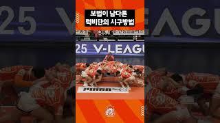 읏맨 럭비단의 시구 맛좀 볼래? 