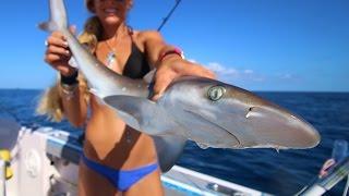 We're Back! Florida Offshore Fishing