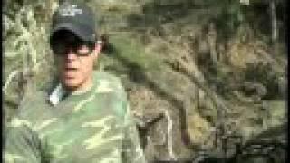 HBT™: Herbicide Ballistic Technology