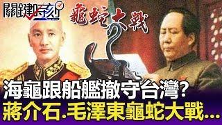 大批海龜跟著國軍船艦撤守台灣？ 蔣介石與毛澤東「龜蛇大戰」傳說…-【關鍵精華】