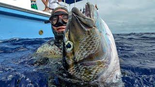 Tips for SPEARFISHING Green Job fish (Uku), Longnose Emperor + DOGTOOTH TUNA in Tonga