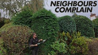 Did the Neighbors Approve? Hedge Trimming with the EGO HTX5300-P