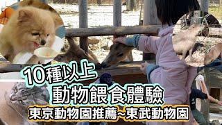 【日本東京】東京動物園推薦｜10種以上動物餵食體驗｜水豚君｜騎小馬｜白老虎餵食｜草泥馬餵食｜可愛爆表｜東武動物園｜tokyozoo｜tobuzoo｜things to do in tokyo