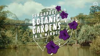 Botanic Gardens — Singapore in a Minute