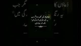 Urdu Thought ®||Urdu Poetry ||Urdu Quotes ||Islamic Status ||#youtubeshorts #thoughts #short