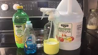 Make cleaning your Kitchen a Breeze! Homemade Fridge Spray