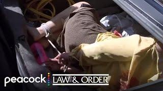 "Three Bodies in Thirty Minutes, We Need to Hurry Before They Get Thirsty Again" | Law & Order