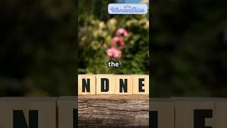  The Lantern That Never Goes Out | A Story of Endless Light!  | #shorts #lantern #adventure