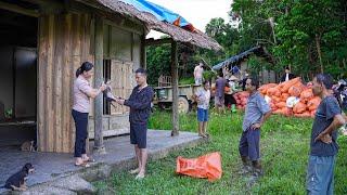 Single mother: Sold two dogs to people harvesting rice, everyone praised and loved them very much