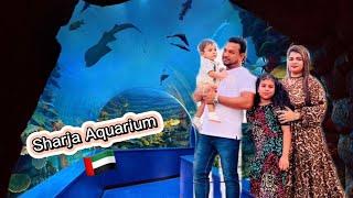 UAE Sharja Aquarium  #viralvideo #dubai #juisamivlog #fish #viralvlogs #ytshorts #foryou #insta