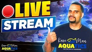  Live -African Cichlid Top 5 Must Know + Q&A