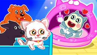 How to Take Care of Kitty Cats!  My Pet Song  Wolfoo Nursery Rhymes & Kids Songs