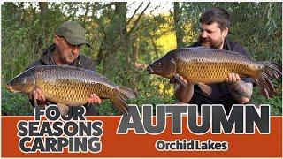 **CARP FISHING**   FOUR SEASONS CARPING...AUTUMN...ORCHID LAKES