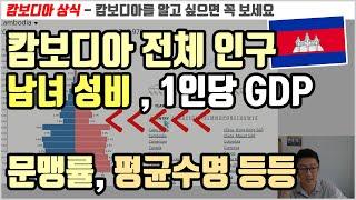 캄보디아를 잘 이해하려면 알아두자! (최신 인구조사 결과 + 기본 상식과 재미있는 통계 : 예를들어 냉장고, 세탁기 보유 가구는 몇 개?)