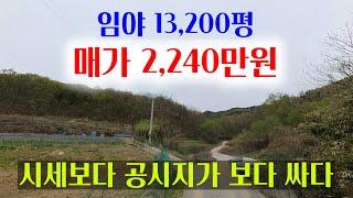 [1412][임야매매] 주변 시세보다 싸고 공시지가 보다 싸게 내 놓은 소액 임야 입니다.
