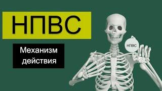 НПВС за 2 минуты | Механизм действия | Medanatfarm