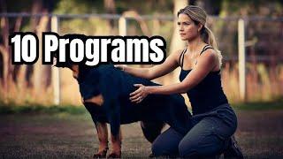 Top 10 HIGH PAYING Affiliate Programs (Pets and Animals) | Pawsitive Personals