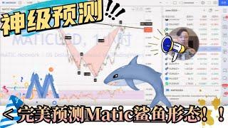 老铁神级预测之MATIC 鲨鱼形态