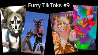 Furry TikTok Compilation #9