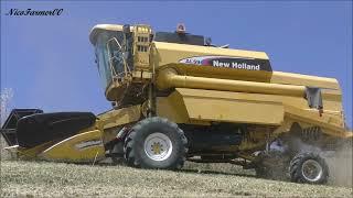 START HARVEST SEASON 2K24 | NEW HOLLAND AL59 + NEW HOLLAND TM120 | FERRANTE