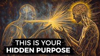 What Is Your Role in the Universe? (The Purpose of Consciousness)