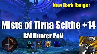 +14 Mists of Tirna Scithe BM Hunter PoV