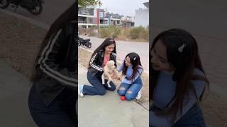 Dosti️ | Sneha Choudhary | #shortvideos #dosti #friendship #trending #schoollife #viral