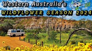 WILDFLOWERS 2024-Western Australia,