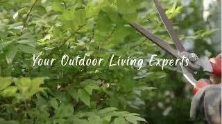 Holiday Landscape Cleanups & Mulching Service