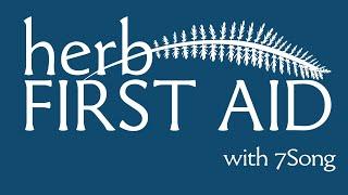 Wildcrafting: Herb First Aid Foundations