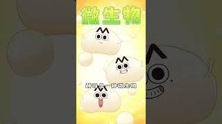 【我是不白吃】松软面包的前身居然是古埃及的大饼？丨Mr.foodie #shorts #fyptiktok  #fyp #我是不白吃  #冷知识 #轻漫计划