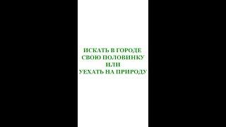 ИСКАТЬ В ГОРОДЕ СВОЮ ПОЛОВИНКУ ИЛИ УЕХАТЬ НА ПРИРОДУ  Трехлебов А.В 2022,2023,2024,2025