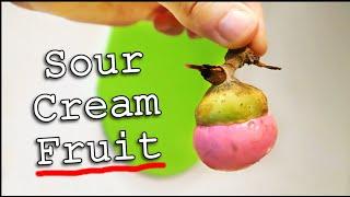 This pink fruit tastes like sour cream - ENGKALA