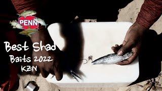 Best Shad Baits 2022