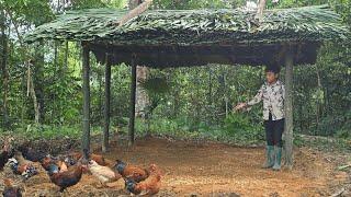 Poor Boy - Building a Bamboo House - Finishing a Roof with Palm Leaves