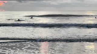 Northeast FL Surf & Beach Update 7am August 26, 2024