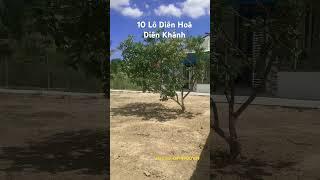 Đất nền Diên Hoà- Diên Khánh. Bán đất Diên Hoà #datnengiare #dienkhanh