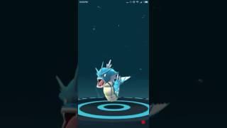 Magikarp Evolve to Gyarados