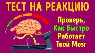 Тест на Скорость Реакции, Или Как Быстро Работает Ваш Мозг