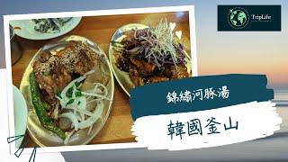 韓國釜山-錦繡河豚湯、釜山味蕾大冒險！錦繡河豚湯暖胃又暖心。