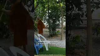 อยู่กับพุทโธตลอด
